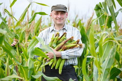 Camera Agricola Gorj a eliberat 4.200 de avize consultative pentru producatorii agricoli