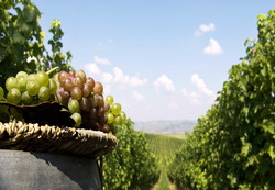 Compania Jidvei a fost selectata de catre UniCredit pentru a participa la UniCredit CEE Lounge