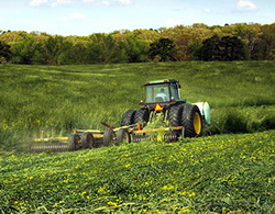 Eliminare conditie arenda terenuri agricole