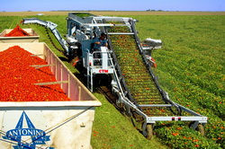 Masina de recoltat tomate