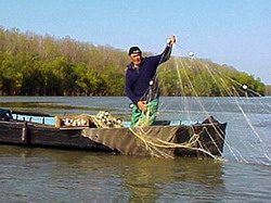 Modificari privind pescuitul in scop familial al scrumbiei