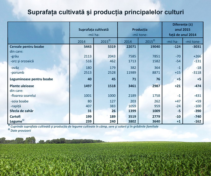Productia agricola vegetala in 2015 - culturi agricole