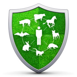 CCE: Programele vizand bolile animalelor sunt, in general, solide, insa unele costuri sunt nejustificat de mari