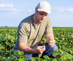 Planul de fertilizare: pasi necesari, model plan de fertilizare