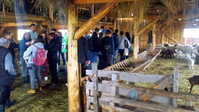 Saptamana Scoala Altfel proiecte PNDR