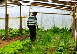 Solutii agricultura ecologica - BioRomania si FNAE