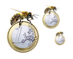 Sprijin financiar apicultori 2016