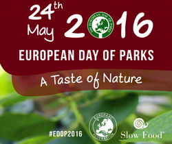 24 mai, Ziua Europeana a Parcurilor – O zi de celebrare pan-europeana pentru Ariile Protejate