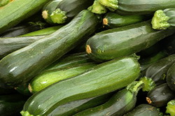 Cultura dovlecelului