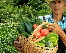 Fertilizarea foliara – Secrete ale nutritiei plantelor pentru o productie ridicata