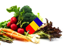 Atasatii agricoli vor identifica oportunitatile de export si de afaceri pentru produsele agroalimentare romanesti