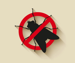 Alege insecticid muste si solutie anti muste pentru a scapa de muste definitv