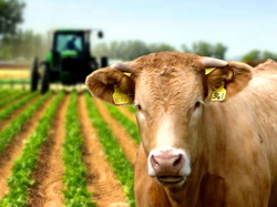 Modificari importante in legislatia schemelor de plati din agricultura