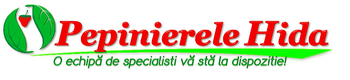 Pepinierele Hida
