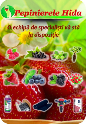 Pepinierele Hida - Oferta de pomi/arbusti fructiferi si produse agricole