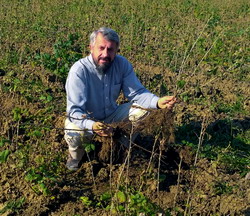 Pepinierele Hida – O poveste de succes