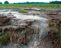 Poluarea cu ingrasaminte