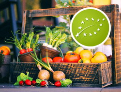 Ce trebuie sa stiti la cumpararea produselor alimentare ecologice