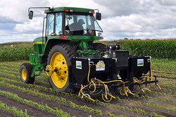 „Sablarea buruienilor”, metoda revolutionara care vine in ajutorul agricultorilor ecologici