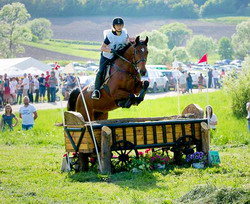 Incepe cea de-a sasea editie a Transylvania Horse Show
