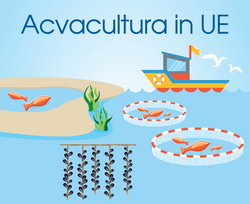 Acvacultura in UE - fonduri afaceri oportunitati