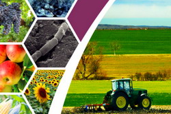 Agricultura biotech! Era agriculturii 4.0 ajunge in Romania