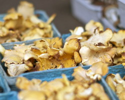 Atentionari si recomandari privind consumul de ciuperci