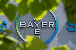 Bayer invita grupurile de mediu pentru a discuta preluarea Monsanto