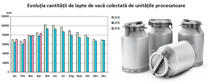 Colectare lapte de vaca 2016 - evolutie grafic