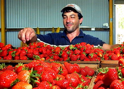 Supermarketuri versus fermieri: UE trebuie sa actioneze in calitate de arbitru