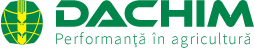 Dachim logo