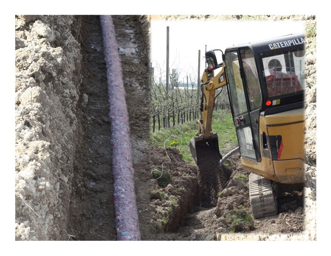 Etapele infiintarii unei livezi de pomi fructiferi - ICDP-HFH Page 09