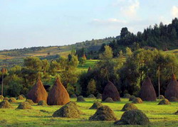 Platile de inverzire functioneaza, dar este nevoie de o simplificare a procesului de accesare