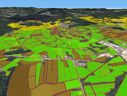 LPIS - O mai buna identificare a parcelelor agricole pentru a ajuta la deblocarea platilor subventiilor pentru fermieri
