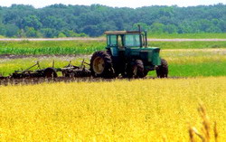 Plata APIA subventie motorina trimestrul I 2016