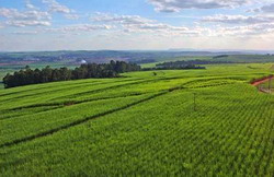 Ungaria gazduieste Saptamana Internationala dedicata Bioenergiei