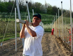 Tehnologii moderne de infiintare a livezilor