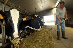 10,89 milioane de euro pentru fermierii romani