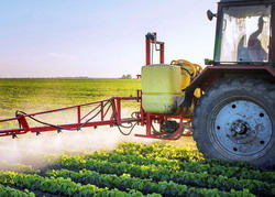 CE aproba folosirea temporara a glifosatului pentru inca 18 luni