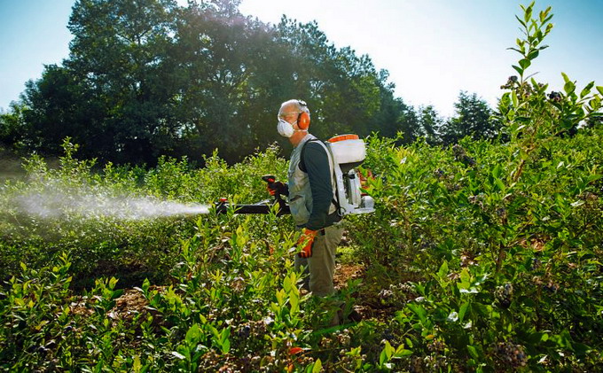 Cele mai bune pulverizatoare Stihl