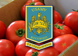 Parteneriat intre mediul academic si mediul economic in domeniul productiei horticole autohtone