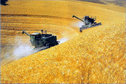 Preturile produselor agroalimentare incep sa se redreseze