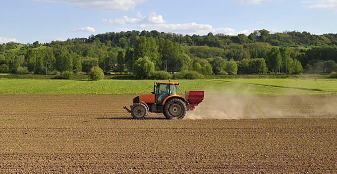 Sfaturi pentru amendarea si inbunatatirea solului