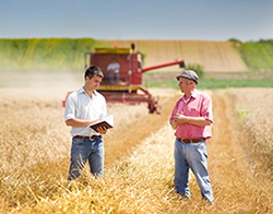 Sfaturi pentru amendarea si inbunatatirea solului - scaderea aciditatii solului