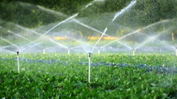 Situatia la zi in sectorul irigatiilor din Romania