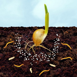 Insecticid si fertilizant in aceeasi granula: Premiera de la Summit Agro Romania