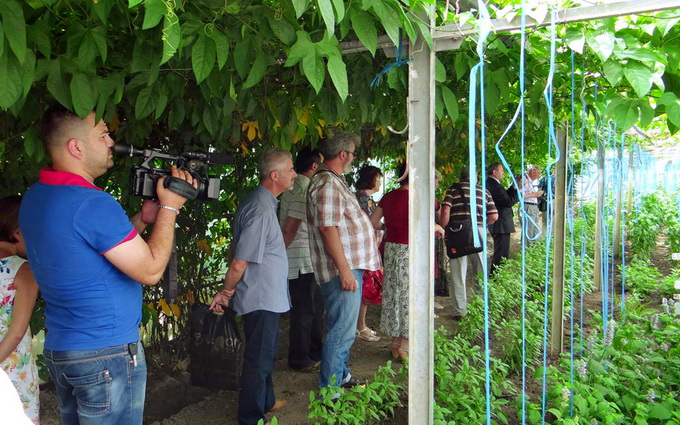 Ziua Portilor Deschise Legumicultorilor 2016