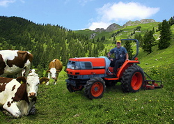 Fondurile alocate in 2016 pentru investitii in fermele din zona montana au fost solicitate integral