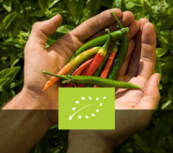 Etichetarea produselor ecologice