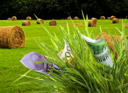 Veniturile din activitati agricole, silvicultura si piscicultura – Ghidul fiscal actualizat al persoanelor fizice